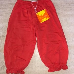 Masala Baby pants